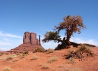 Ceglédi Ferenc - Monument Valley - magányok