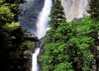 Yosemite Falls, Yosemite National Park, California