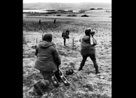 A Falklandi háború