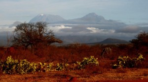 Lávaalagutakat találtak a Kilimandzsáróban