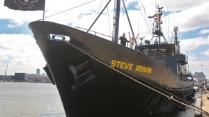 Veszélyben a Sea Shepherd zászlóshajója