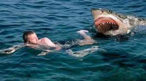 Közzétették a 2011-es év cápatámadási statisztikáját