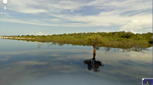 Az Amazonas esőerdői is felkerültek a Google Street View-ra
