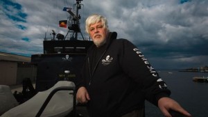 A Sea Shepherd kapitánya rács mögött