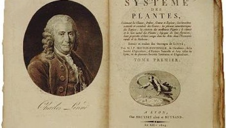 Megszületett Carl von Linné svéd botanikus