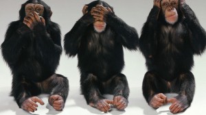 Kulturális különbségek vannak a csimpánztársadalomban is