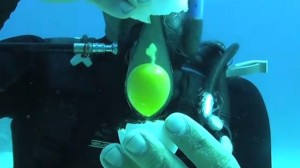 Mi történik, ha a víz alatt ütsz fel egy tojást?