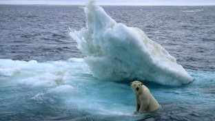 Mi tehetünk az arktiszi jég olvadásáról?
