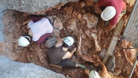 Százezer éves elefántcsontvázat találtak Barcelona közelében