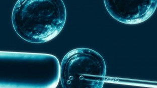 Kutatók éjszakája – A DNS csodálatos világáról és az őssejtekről