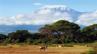 Hódítsd meg a Kilimandzsárót – biciklin!