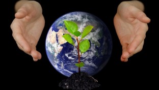 Környezetvédelmi hónap kezdődik a Francia Intézetben