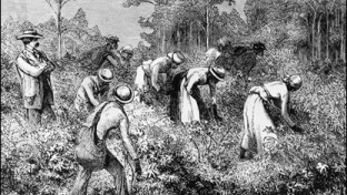 Eltörölték a rabszolgaságot az Egyesült Államokban