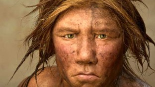 Életre keltené a neandervölgyi embert egy amerikai professzor