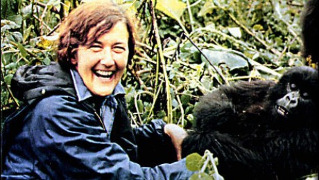Megszületett Diane Fossey