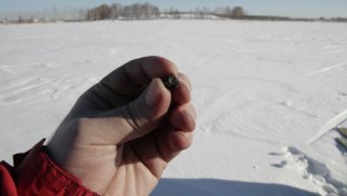 Megtalálták a cseljabinszki meteorit maradványait