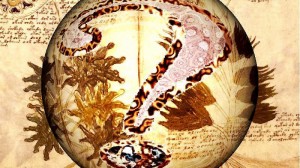 A kultúrtörténet máig legrejtélyesebb dokumentuma: a Voynich-kézirat