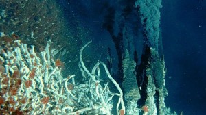 Felfedezték a legmélyebben fekvő tengerfenéki hasadékokat