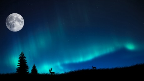 Aurora Borealis: az éjszaka tüneménye