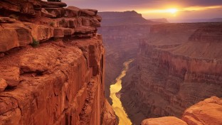 Fiatalabb a Grand Canyon